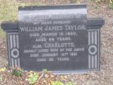 image of grave number 205237
